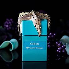 Tiziana Terenzi Cubia – Extrait de Parfum Unisexe 100 ml | Parfum de Niche Boisé, Marin & Épicé